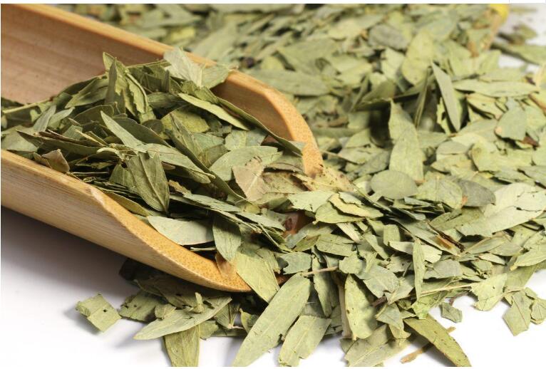 印度尼西亞番瀉葉進口報關手續及注意事項